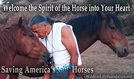 Welcome the spirit of the horse into your heart